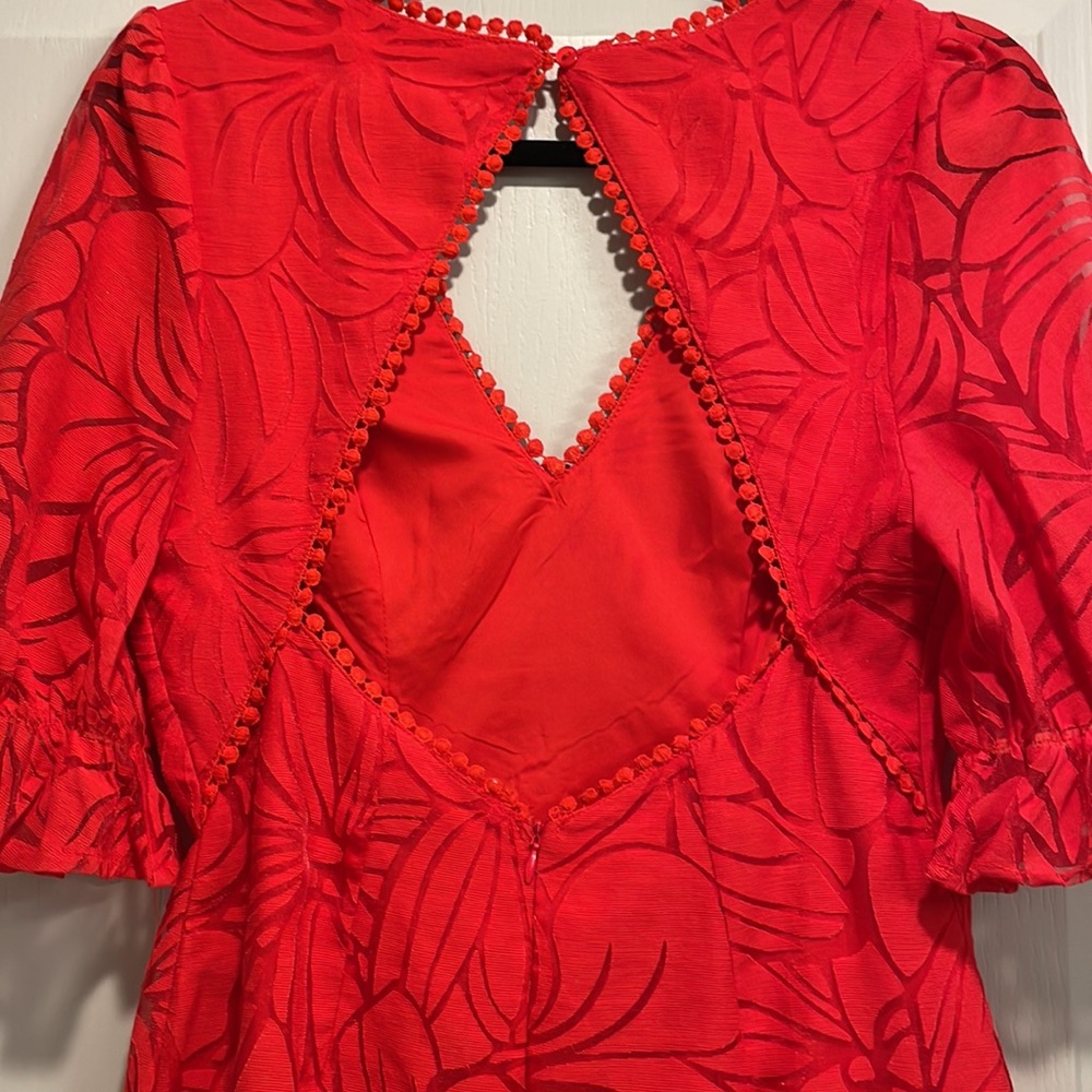 Red Dress - Picture 5 of 5